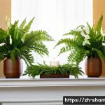 무속 신당 위치 추천 - **Prompt: Urban Sanctuary Shrine**
    A serene and cozy personal shrine meticulously arranged in a ...